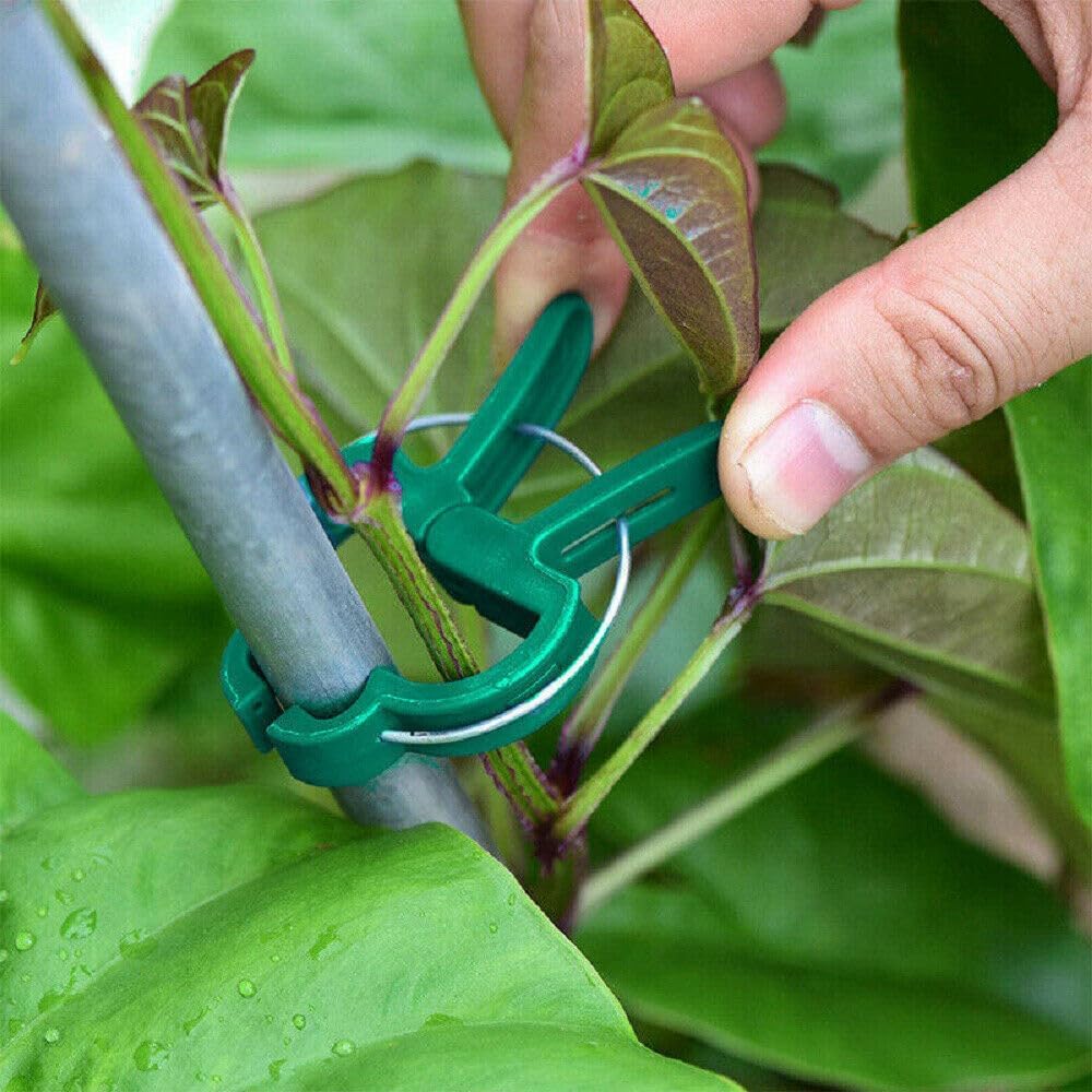 Heavy-Duty Garden Plant Clips  - Greenhouse Plastic Film ulasan dan harga